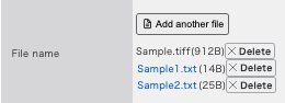 file name